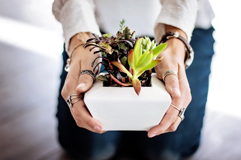 Hanging Herb Pots
